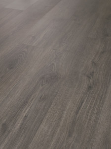 ROBLE NATURAL COAL